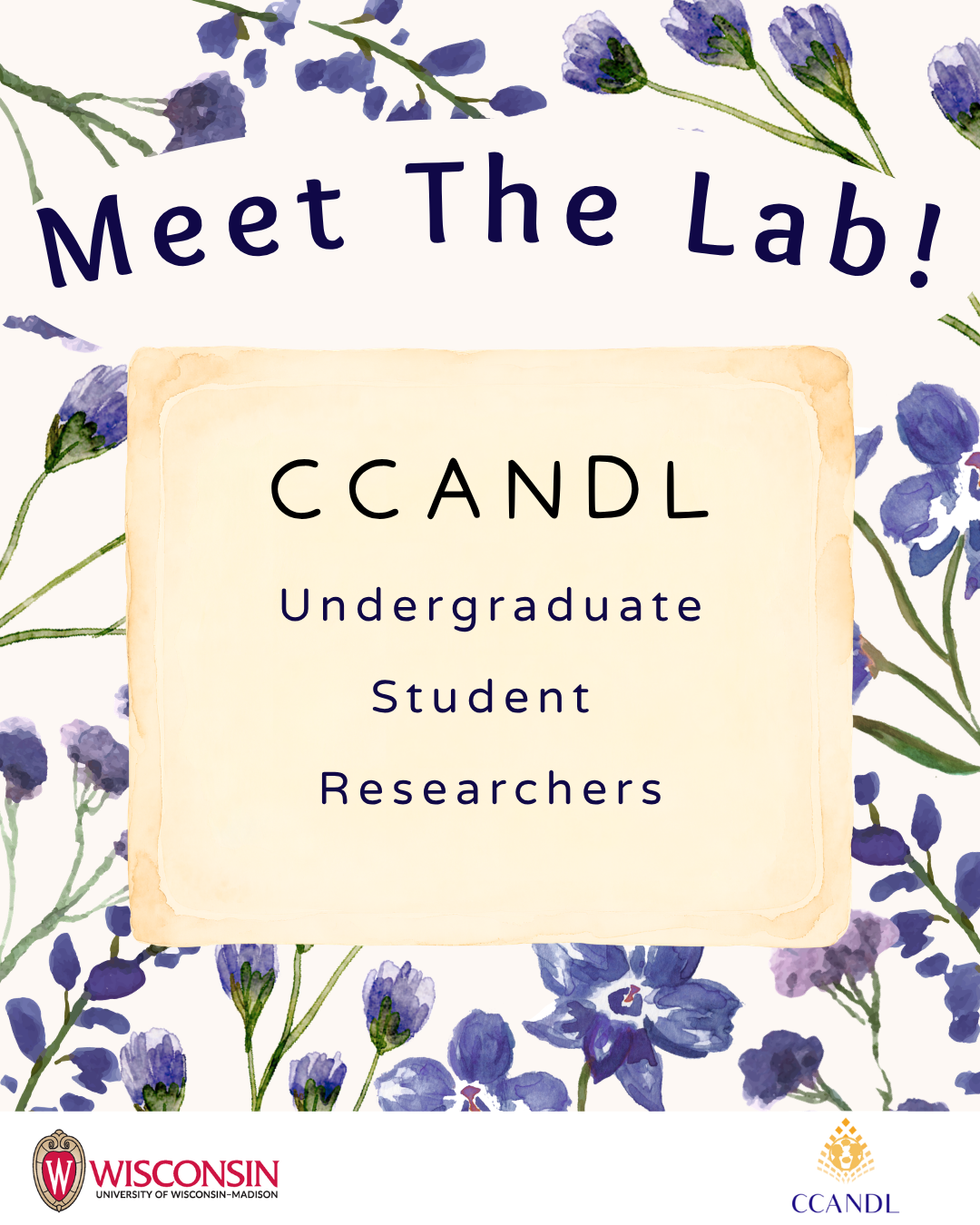 Meet the Lab! CCANDL Undergraduate Student Researchers